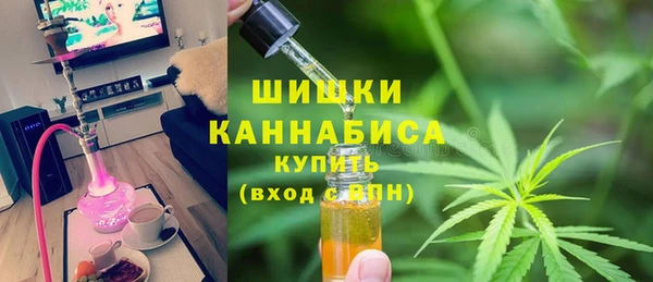 соль ск Нея